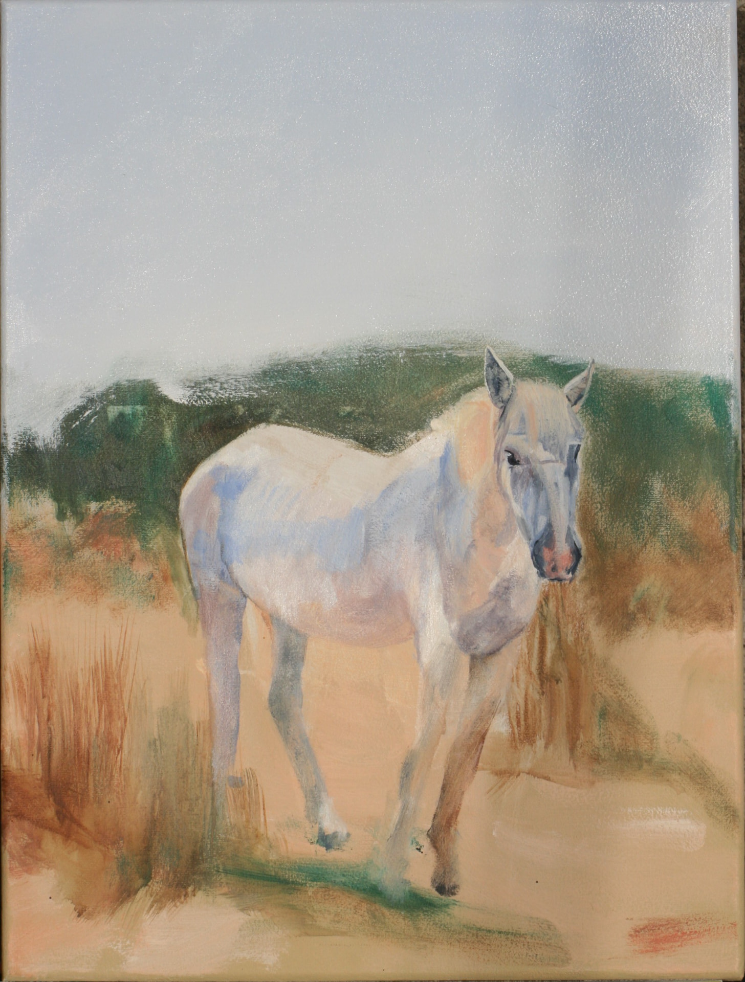 Paard in Pont de Gau, Zuid-Frankrijk — schilderij van Jeanne Thijssen